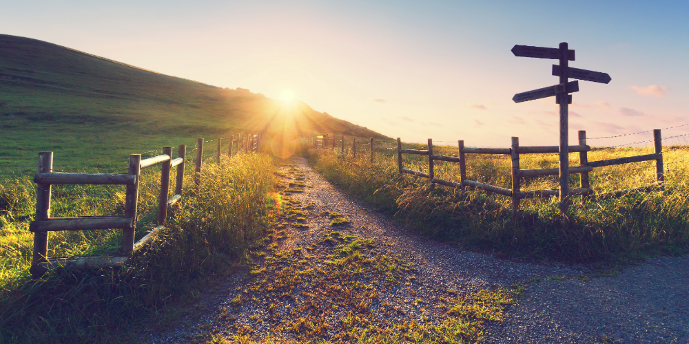Long dirt path going into the horizon over a hill with a setting sun and street signs