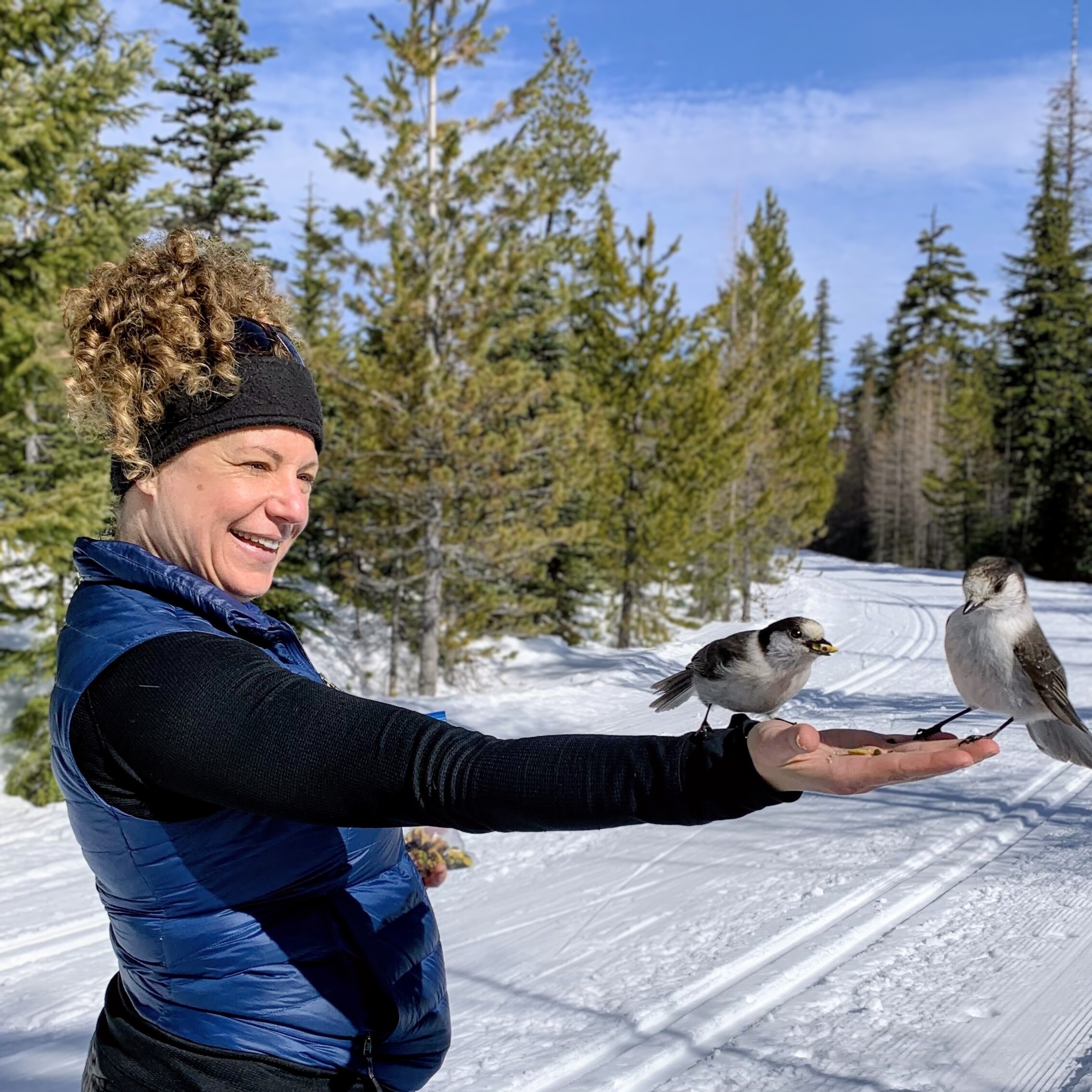 An informal photo of Katie Winters wearing a black headband and blue vest stands on a snowy forest trail, holding out a hand with seeds while two small gray-and-white birds perch and feed; evergreen trees and a clear blue sky fill the background.